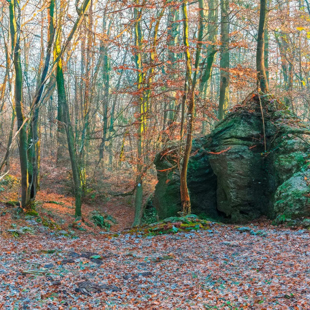 haus-im-wald-hinten