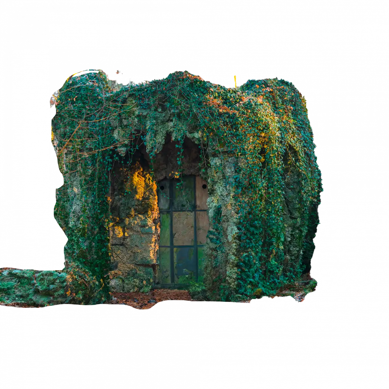haus-im-wald-mitte